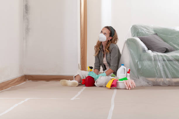 Reliable Basement Mold Remediation contractor in Franklin, NJ by 24 Hour Mold Removal